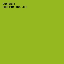 #95B821 - Sushi Color Image