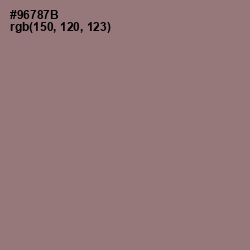 #96787B - Bazaar Color Image