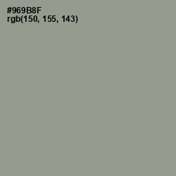 #969B8F - Lemon Grass Color Image