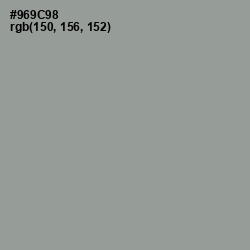 #969C98 - Mountain Mist Color Image