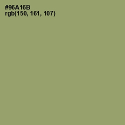 #96A16B - Olivine Color Image