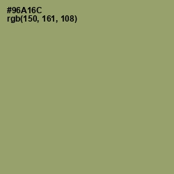 #96A16C - Olivine Color Image