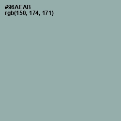 #96AEAB - Pewter Color Image