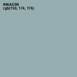 #96AEB0 - Gull Gray Color Image