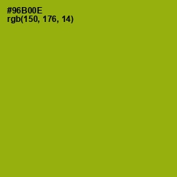 #96B00E - Citron Color Image