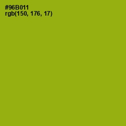 #96B011 - Citron Color Image