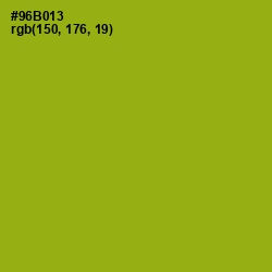 #96B013 - Citron Color Image