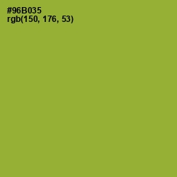#96B035 - Sushi Color Image