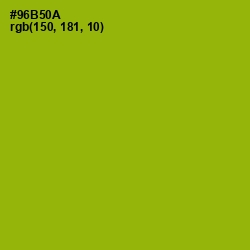 #96B50A - Citron Color Image