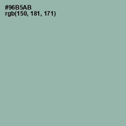 #96B5AB - Summer Green Color Image