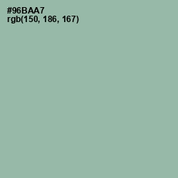 #96BAA7 - Summer Green Color Image