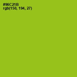#96C21B - Pistachio Color Image
