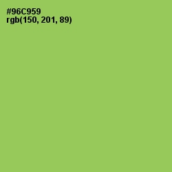 #96C959 - Conifer Color Image