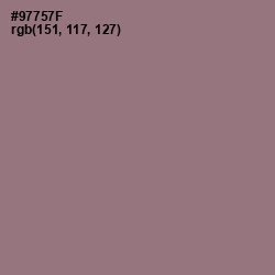 #97757F - Bazaar Color Image