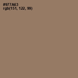 #977A63 - Cement Color Image