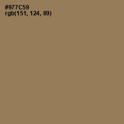 #977C59 - Leather Color Image