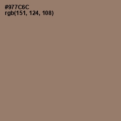 #977C6C - Almond Frost Color Image