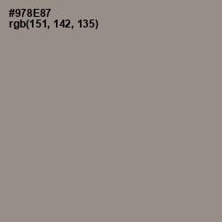 #978E87 - Stack Color Image
