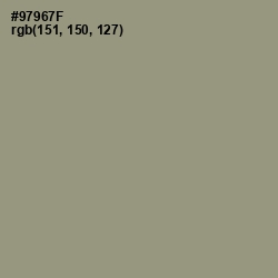 #97967F - Gurkha Color Image