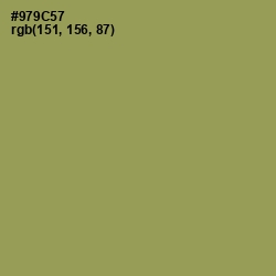 #979C57 - Barley Corn Color Image