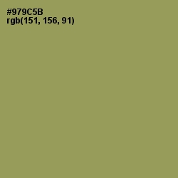 #979C5B - Barley Corn Color Image