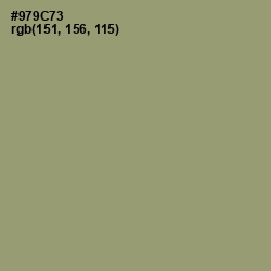 #979C73 - Gurkha Color Image