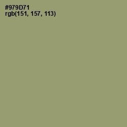 #979D71 - Gurkha Color Image