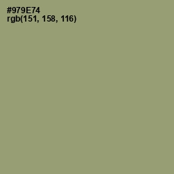 #979E74 - Gurkha Color Image