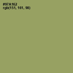 #97A162 - Olivine Color Image