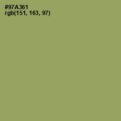 #97A361 - Olivine Color Image