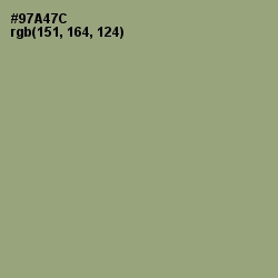 #97A47C - Olivine Color Image