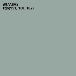 #97A8A2 - Pewter Color Image