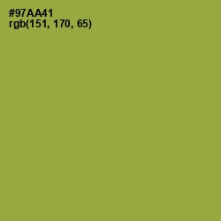 #97AA41 - Chelsea Cucumber Color Image