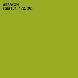 #97AC24 - Sushi Color Image