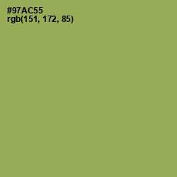 #97AC55 - Chelsea Cucumber Color Image