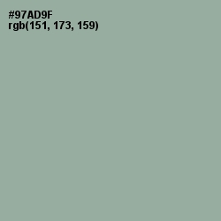 #97AD9F - Envy Color Image