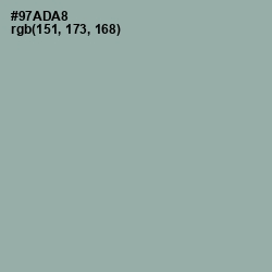 #97ADA8 - Pewter Color Image