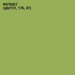 #97B057 - Chelsea Cucumber Color Image