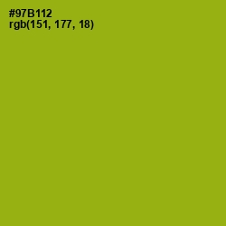 #97B112 - Citron Color Image