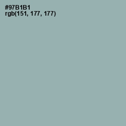 #97B1B1 - Gull Gray Color Image