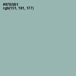 #97B5B1 - Summer Green Color Image