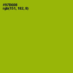 #97B608 - Citron Color Image
