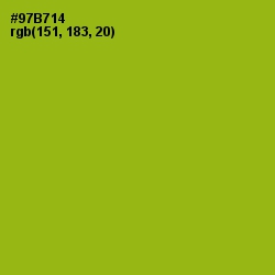 #97B714 - Citron Color Image