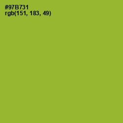 #97B731 - Sushi Color Image