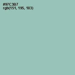 #97C3B7 - Shadow Green Color Image