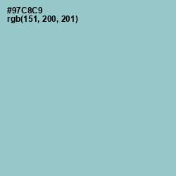 #97C8C9 - Half Baked Color Image