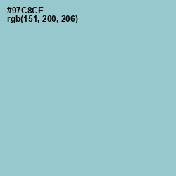 #97C8CE - Sinbad Color Image