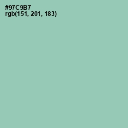 #97C9B7 - Shadow Green Color Image