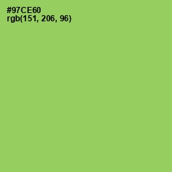 #97CE60 - Conifer Color Image