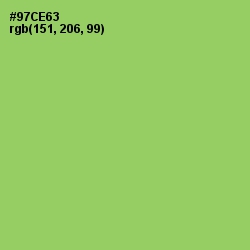 #97CE63 - Conifer Color Image